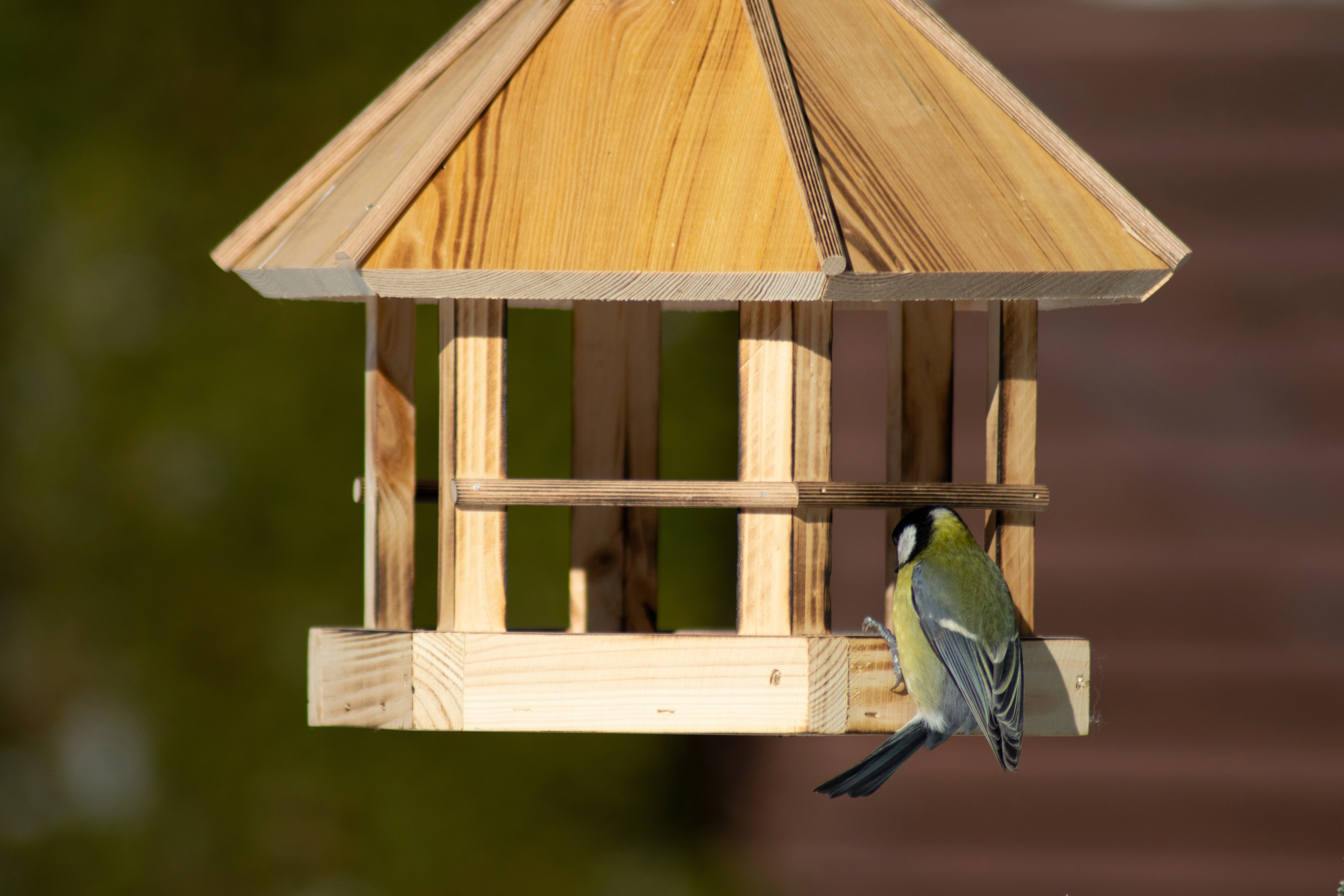 Dobar Vogelhaus Caliente zum 29 Kiefer bei x x OBI 34 29 cm FSC® kaufen geflammt Aufhängen