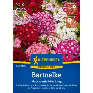 Kiepenkerl Bartnelke Maccarenia Mischung, mehrfarbige Blütenpracht für Beet und Vase.