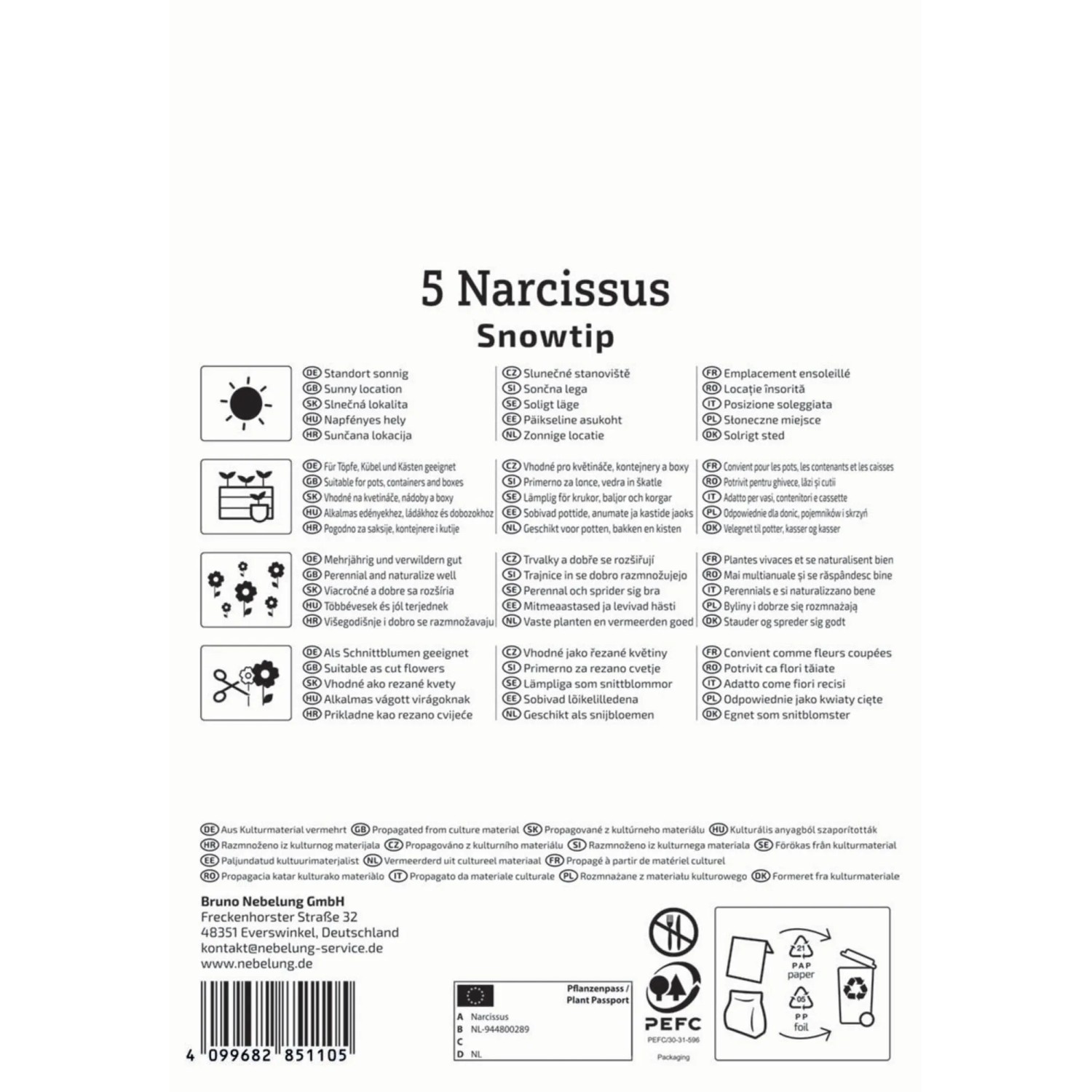 Kiepenkerl Narzisse Snowtip, 5 Stück Blumenzwiebeln mit weiß-gelben Blüten.