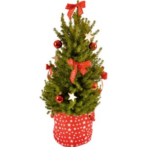 Dekorierte Zuckerhut-Fichte im Topf mit roter Deko-Tasche, geschmückt mit Kugeln, Sternen und Schleifen.