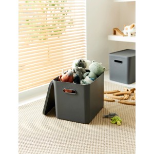 Anthrazitfarbene Rotho Albula Multibox C4 (27 l) mit Spielzeug, modulare Aufbewahrungsbox.