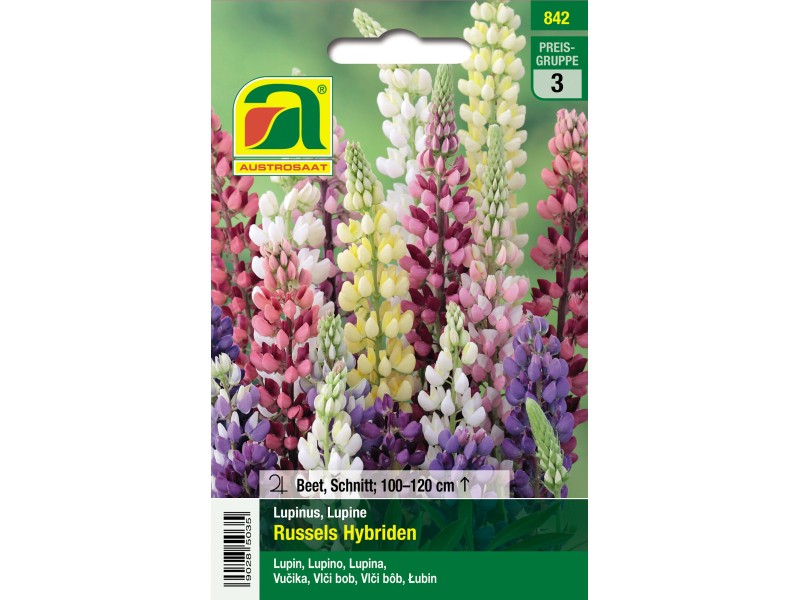 Austrosaat Saatgut Lupinen "Russels Hybriden" Mehrfarbig Lupinus