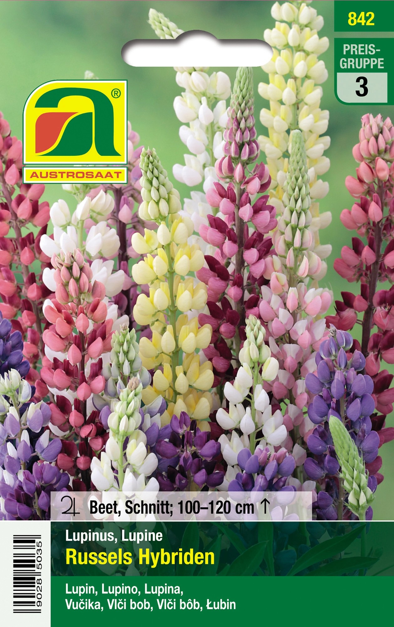 Austrosaat Saatgut Lupinen "Russels Hybriden" Mehrfarbig Lupinus