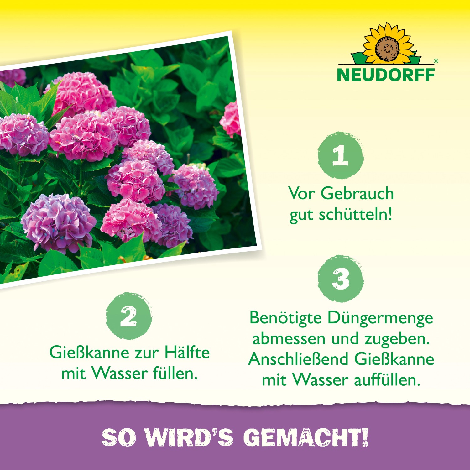 Anwendungstipps für Neudorff Hortensien Dünger Azet mit pinkfarbenen Hortensien.