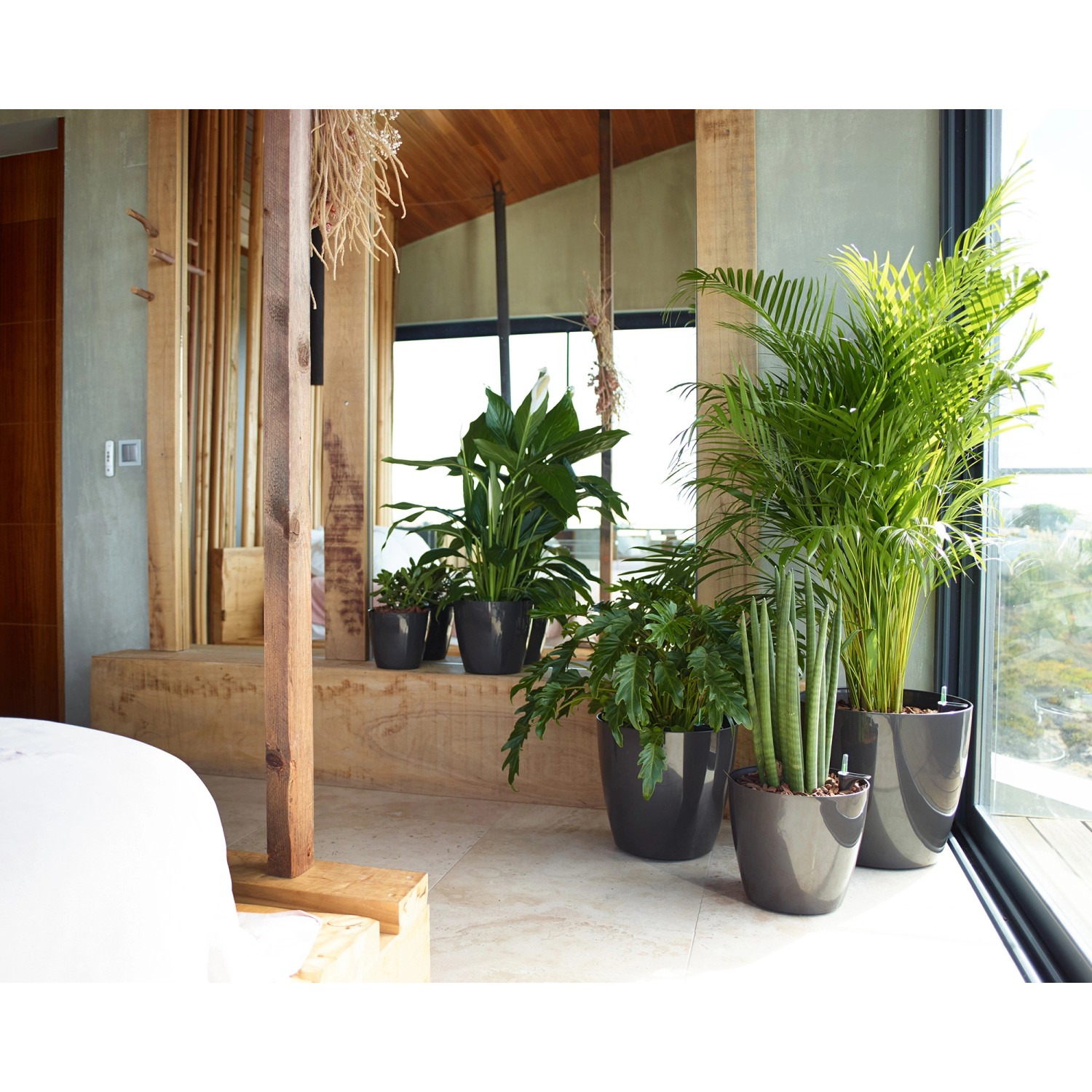 Artevasi San Remo Übertopf, Ø 6 cm, Weiß, mit diversen Pflanzen in modernem Ambiente.