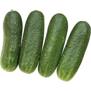 Grow by OBI Einlegegurken, kernlos, im Topf. Ideal zum Einlegen und Frischverzehr.