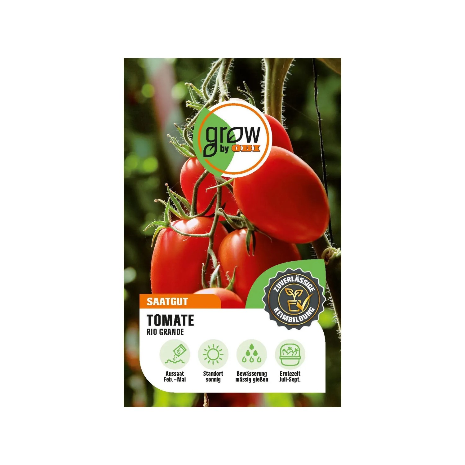 GROW by OBI Tomaten "Rio Grande" kaufen bei OBI