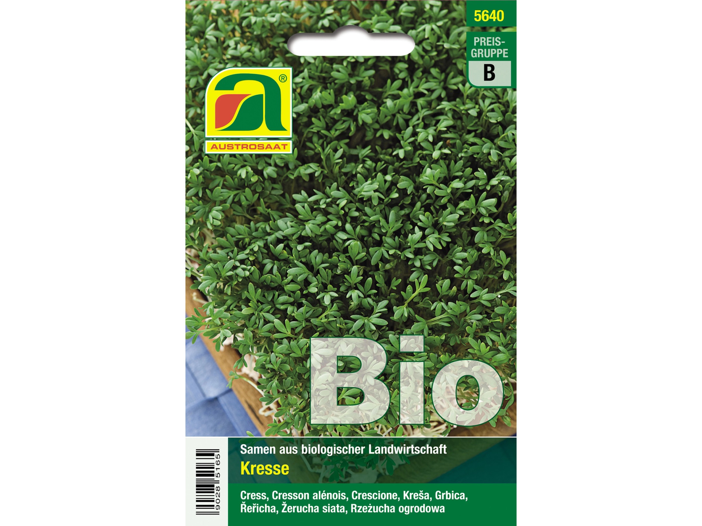 Brunnenkresse Samen 10.000 Samen Gartenkresse Kräuter Einfache Kresse Lepidium 10.000 Kresse Samen