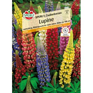 Mehrfarbige Sperli Lupine 'Sperlis Zauberkerzen' als Blumensamen für farbenfrohe Blumenbeete.