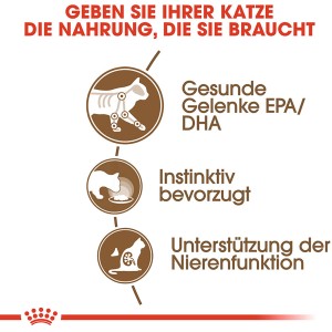 Royal Canin Ageing 12+ Katzenfutter: Illustration zu Gelenkgesundheit, Akzeptanz und Nierenfunktion.