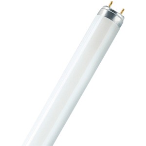 Osram Leuchtstofflampe G13 Röhrenform 16 W 1250 lm 7,9 x 2,55 cm (H x Ø)