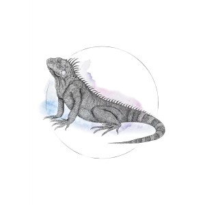 Wandbild: Iguana in Aquarell-Optik, 50x70 cm. Dekorative Illustration einer Echse.