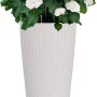 Lechuza Cilindro Cottage Pflanzsäule, lichtgrau, Ø 32 cm, mit weißer Hortensie.