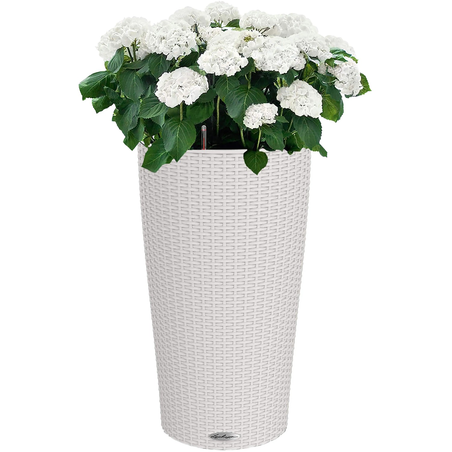Lechuza Cilindro Cottage Pflanzsäule, lichtgrau, Ø 32 cm, mit weißer Hortensie.