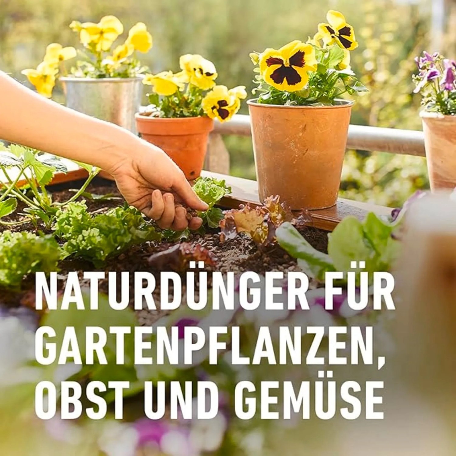 mineralischer n-dnger BioVegetal organisch-mineralischer Immergrn- und Nadelgehlzdnger   BioVegetal  Thringer Dngermanufaktur