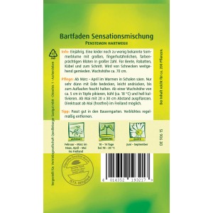 Samentüte Quedlinburger Bartfaden Sensationsmischung, einjährige Sommerblume für Beet und Kübel.
