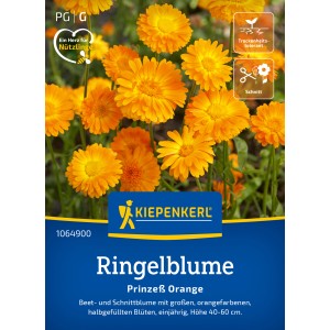 Kiepenkerl Ringelblume Prinzess Orange mit leuchtend orangen Blüten.