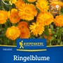 Kiepenkerl Ringelblume Prinzess Orange mit leuchtend orangen Blüten.
