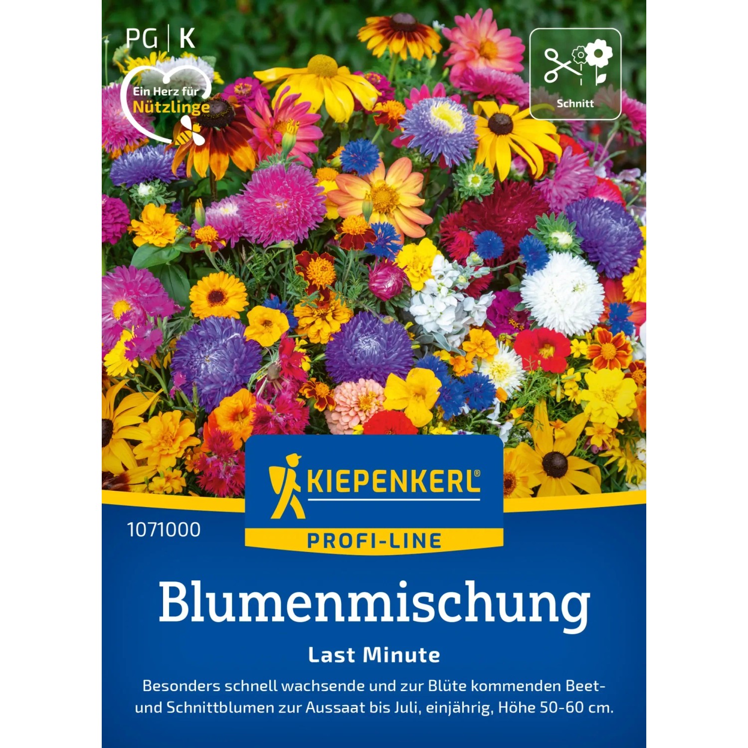 Kiepenkerl Blumenmischung Last Minute: Bunte Mischung verschiedener Sommerblumen.