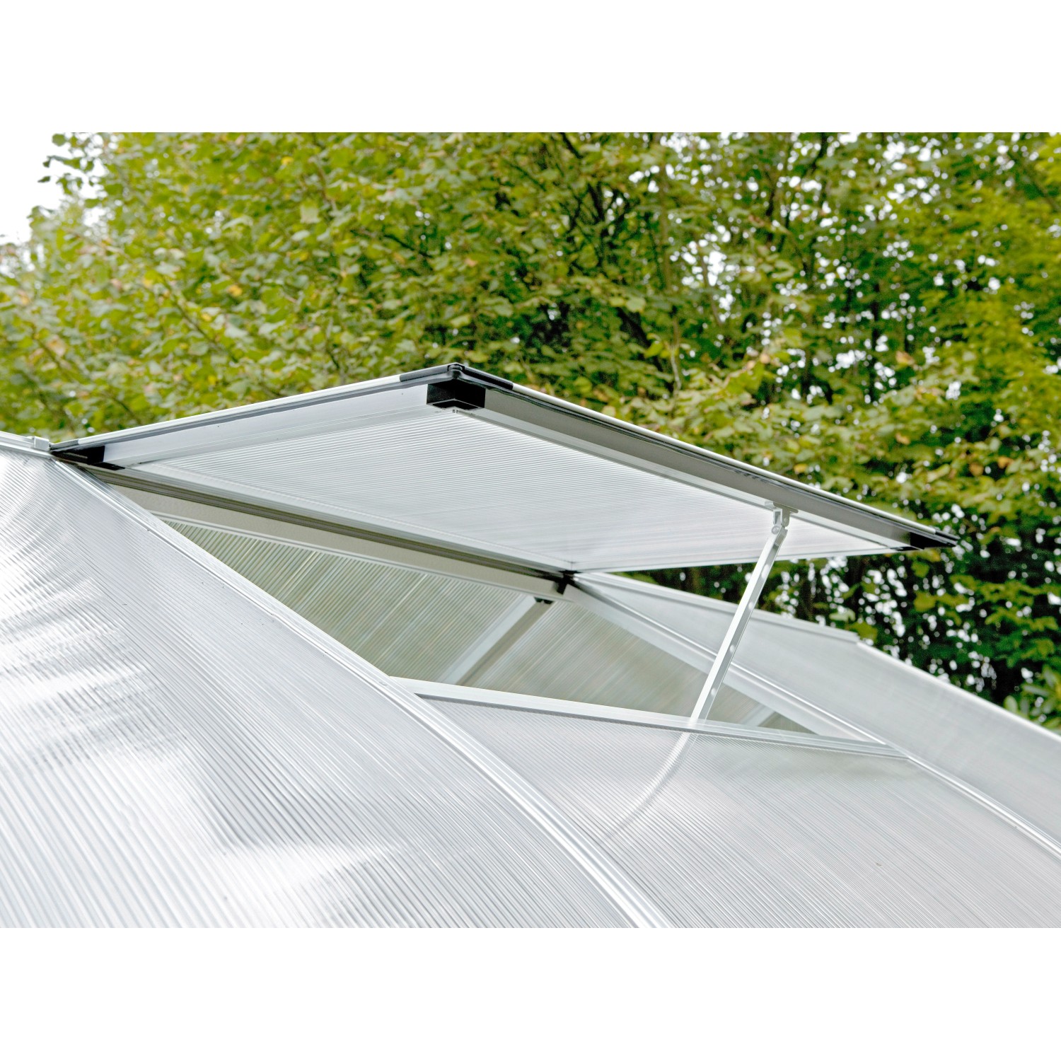 Dachfenster für KGT Gewächshaus Rhodo Alu blank kaufen bei OBI