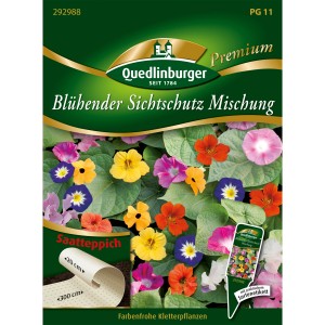 Quedlinburger Saatteppich Blühender Sichtschutz Mischung mit farbenfrohen Kletterpflanzen.