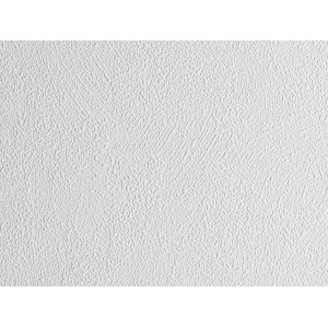 Meistervlies Protect Vliestapete Spachtelputz FSC®