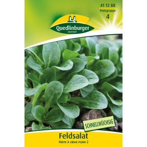 Quedlinburger Feldsalat 'Verte a couer plein 2' Samen, Großpackung für Herbst/Winter.