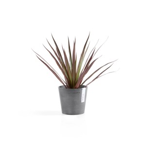 Ecopots Pflanztopf Amsterdam Ø 13 cm x 11 cm Grau