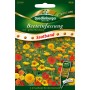 Quedlinburger Beeteinfassung Saatband mit rot-gelber Blumenmischung für Beetränder.
