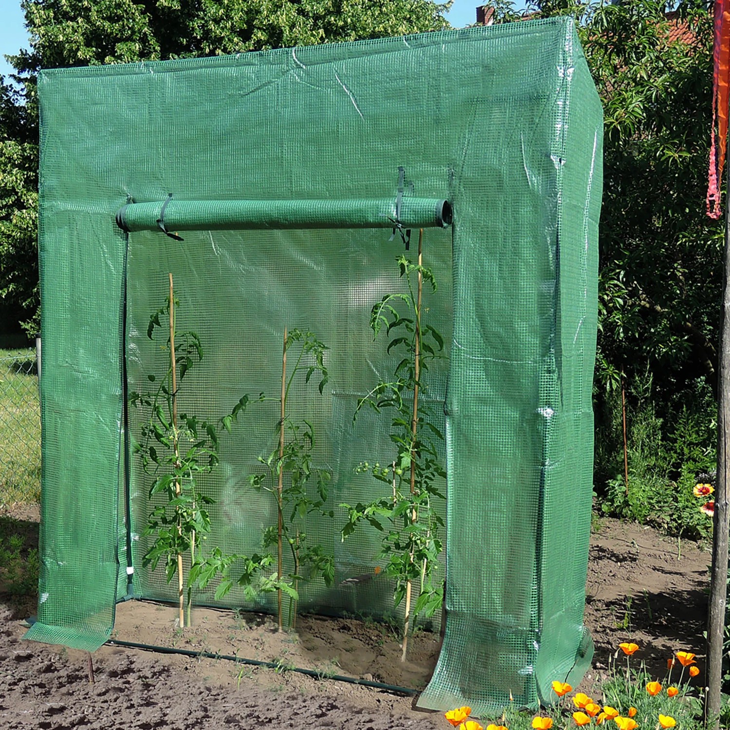 Grünes Gewächshaus (1,17 m²) mit Pflanzen im Garten.