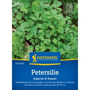 Kiepenkerl Petersilie Gigante di Napoli, glattblättrig und aromatisch.