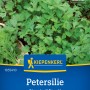 Kiepenkerl Petersilie Gigante di Napoli, glattblättrig und aromatisch.