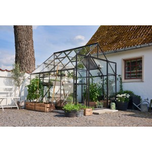 Schwarzes Halls Gewächshaus Qube+ 88 (6,6 m²) mit Pflanzen im Garten.