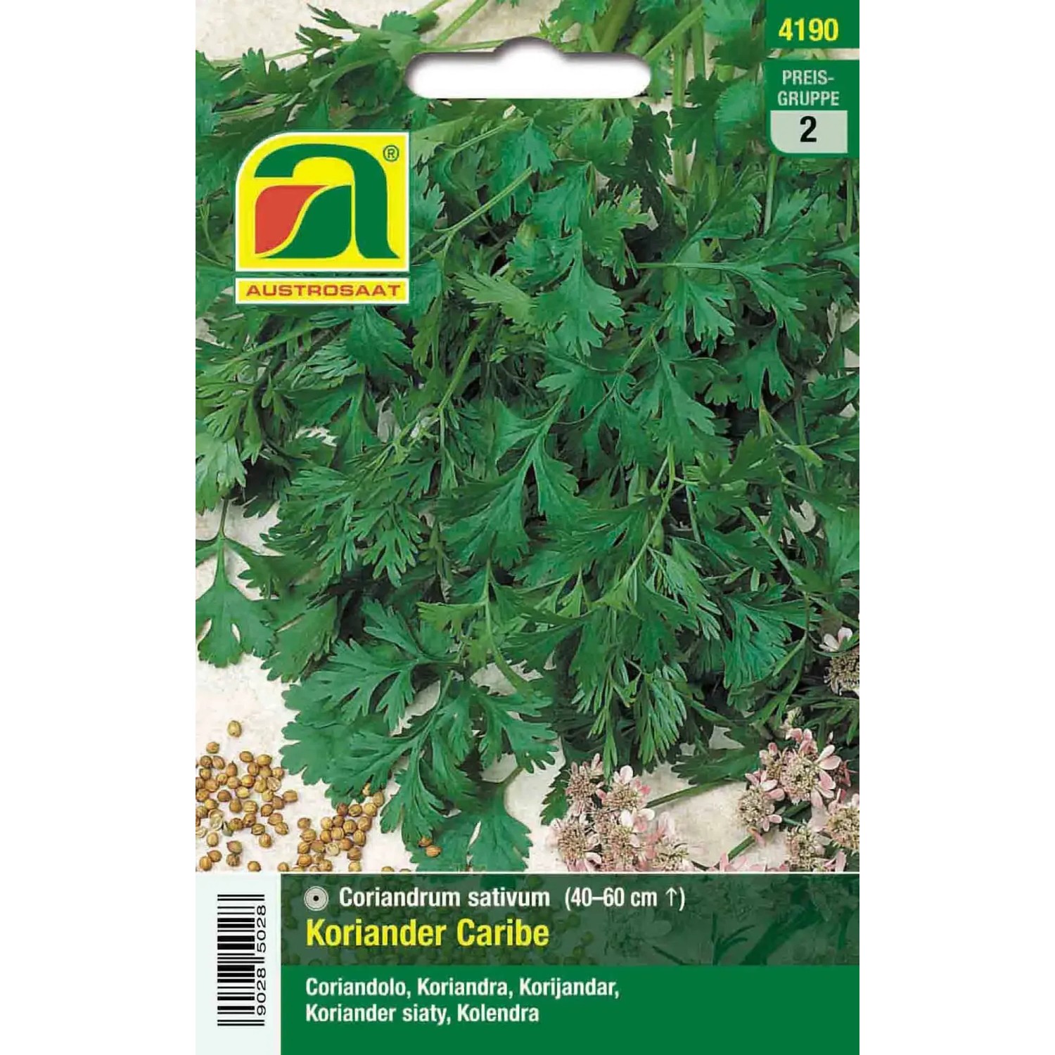 Austrosaat Saatgut Koriander "Caribe" Coriandrum sativum kaufen bei OBI