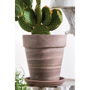 Deroma Pflanztopf Alto Duo, Ø 26 cm, graphit-weiß gestreift, mit Kaktus bepflanzt.