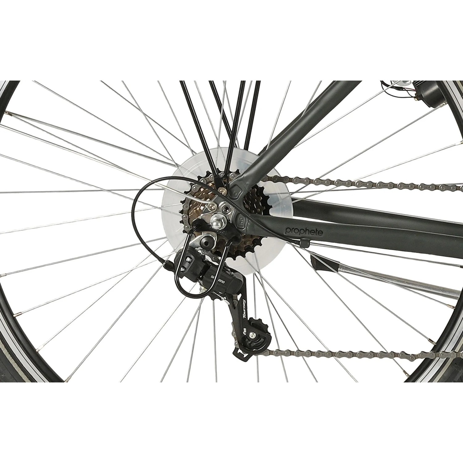 damen trekkingrad e-bike 28 Zoll Damen E-Bike Low Step City Fahrrad LUMINA BOSCH ACTIVE PLUS LINE  Gen 3 500 Wh 8 Gang Shimano Nexus Power Pack 500 Wh Bosch eBike  Trekkingbike City Bike Rahmenhöhe 45 50 55 S M L günstig kaufen main image 1