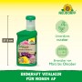 Neudorff BioKraft Vitalkur für Rosen, 300ml Flasche. Pflanzenstärkungsmittel für gesunde Rosen.