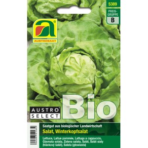 Bio Kopfsalat Neusiedler Gelber Winter Samen von Austrosaat.