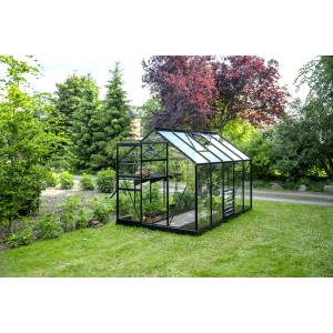 Schwarzes Halls Gewächshaus Popular 106 mit Glas auf Rasenfläche im Garten.