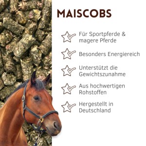 Braunes Pferd mit schwarzem Halfter blickt auf grüne Supravit Maiscobs. Energiereiches Pferdefutter zur Gewichtszunahme.