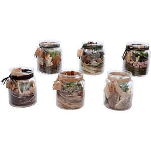 Verschiedene Sukkulenten-Arrangements im Glasgefäß, Topf ca. 12cm, dekorative Tischdeko.