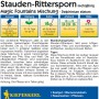 Kiepenkerl Stauden-Rittersporn Magic Fountains Mischung Samenpackung mit Blütezeitangaben.