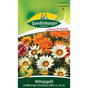 Quedlinburger Mittagsgold Blumensamen, großblumige Mischung in Orange, Weiß, Rosa und Gelb.