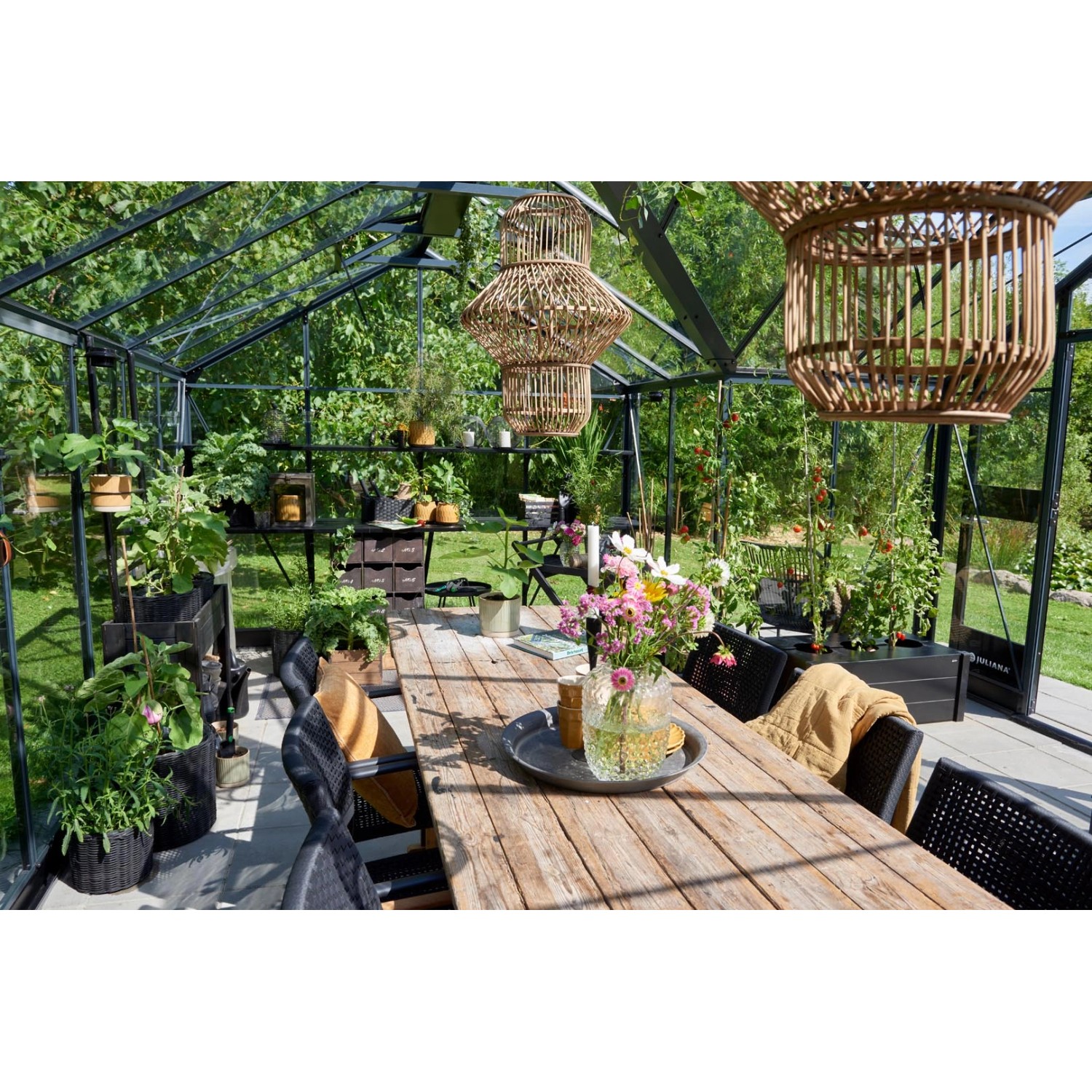 Juliana Gewächshaus Orangerie 21, schwarz-anthrazit, mit Tisch und Pflanzen. Begehbares Gewächshaus.