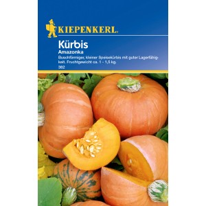 Kiepenkerl Kürbis Amazonka: Orange Kürbisse, Speisekürbis Samen für den Garten.