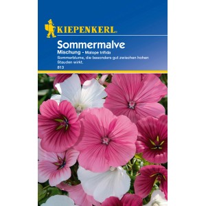 Kiepenkerl Sommermalve Mischung, mehrfarbige Blumensamen für Beet und Garten.