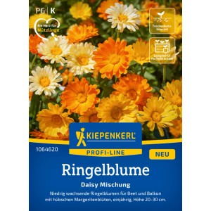 Kiepenkerl Ringelblume Daisy Mischung, orange und gelbe Blüten.
