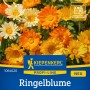 Kiepenkerl Ringelblume Daisy Mischung, orange und gelbe Blüten.