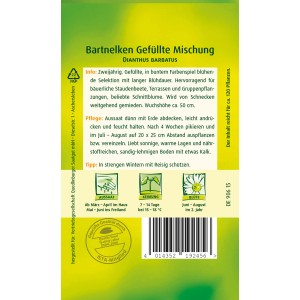 Samentüte Quedlinburger Bartnelke, gefüllte Mischung für farbenfrohe Blumenbeete.