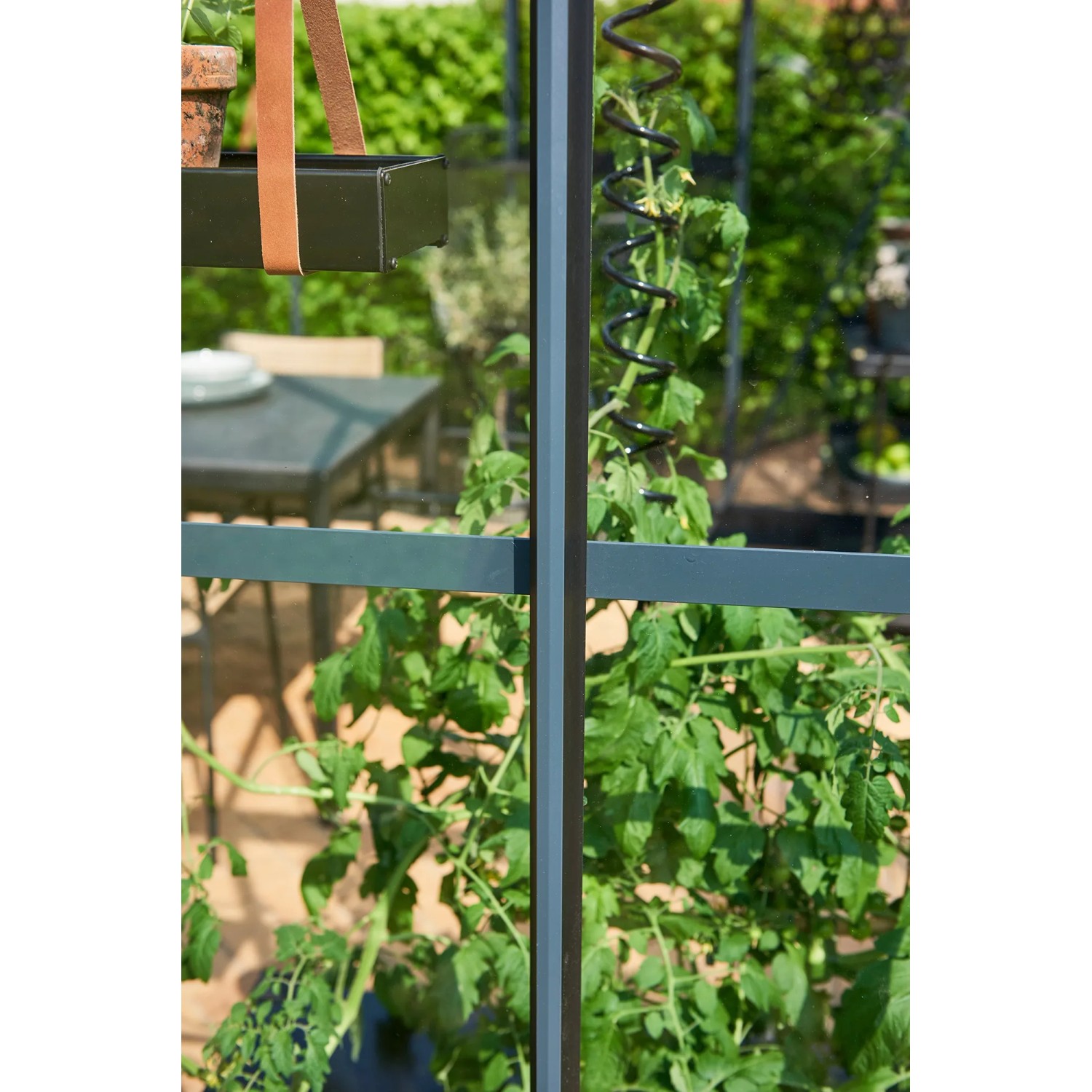 Detailaufnahme Juliana Gewächshaus Premium 8 Anthrazit mit Pflanzen und Zubehör.
